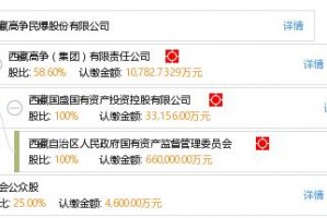 有限责任公司的法人股 