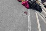 大学生车祸学校有责任吗 