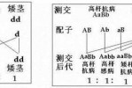 为什么要反交 