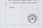 一般纳税人法人责任 