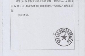 一般纳税人法人责任 