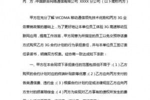 甲方不承担任何责任怎么写 