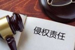 侵权责任法什么时候出台 