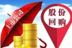 公司回购股权什么 