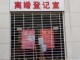 离婚地点叫什么 