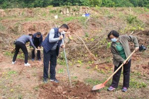 农村责任田种树有补贴吗 