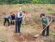 农村责任田种树有补贴吗 