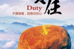 但当是一种责任的例子 