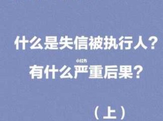 被执行人的后果被执行人的后果