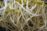 豆芽添加什么违法 