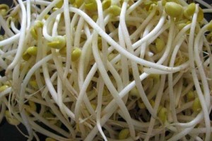 豆芽添加什么违法 