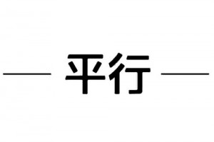 什么是平行公司 
