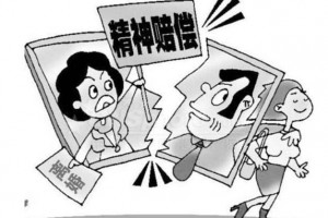 什么是精赔偿 