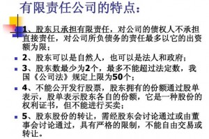 有限责任公司股东以外的人 