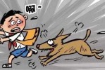 狗咬伤人狗主人有没有责任 