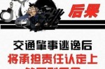逃逸后果逃逸后果