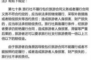 游客受伤 旅行社责任区分 