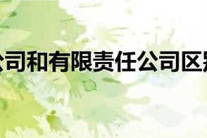 有限公司是有限责任么 