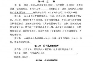 制定有限责任公司章程 