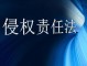 商品权侵权的法律责任包 