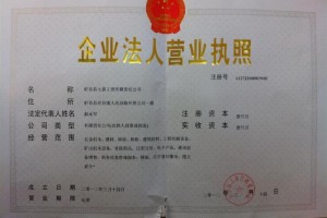 公司名称加有限责任 