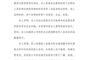 业务员担保责任书 
