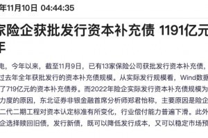 暂缓什么国家债务 