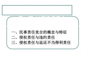 民事责任竞合与聚合的特征 