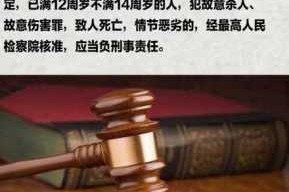 8种负刑事责任的罪行 