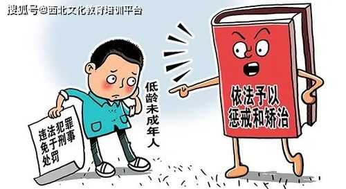 未到十四岁要承担什么责任 