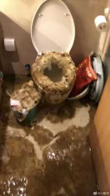 一楼厕所倒灌谁的责任 