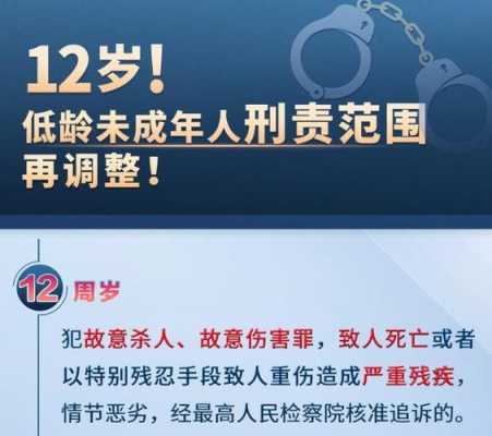 降低刑事责任的最低年龄 