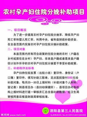 分娩补助什么政策 