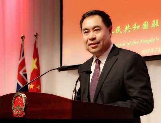 什么是是领事 