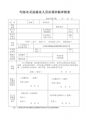 社保审查什么资料 