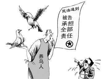 中国无过错责任原则举证 