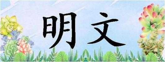 明文空间是什么 
