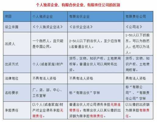 挂靠开发商的个人责任承担 