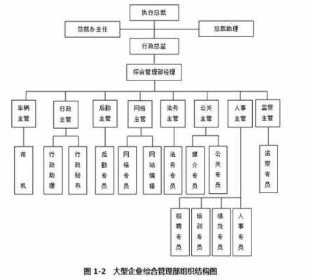 综管有什么权利 