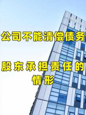 中国法人代表债务责任 