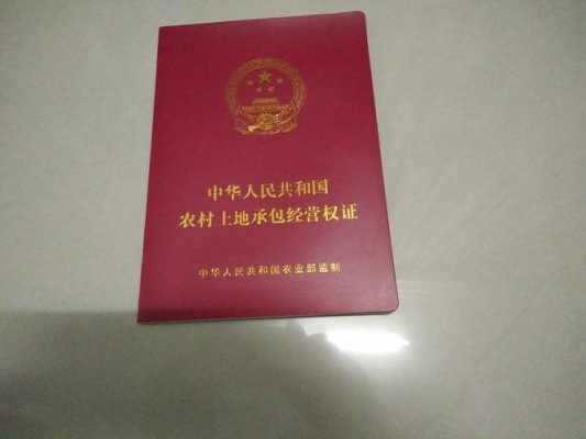 农民责任田有什么证啊 