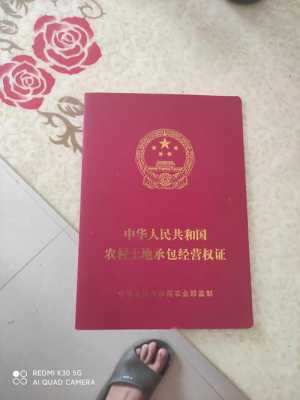 农民责任田有什么证啊 