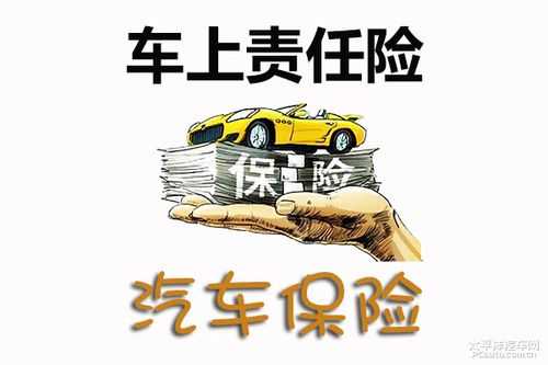 车上司机责任险(1万) 