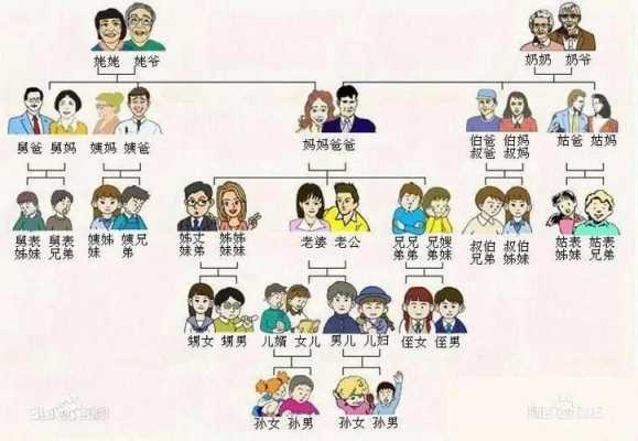 直系还有什么系 