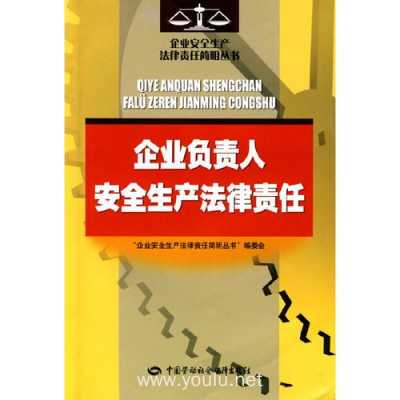 企业负责人负法律责任 