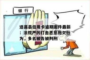 恶意串通逃避债务连带责任 