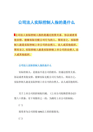法人和实际控制人法律责任 