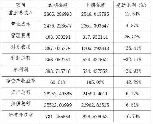 有限责任公司欠债 资本金 
