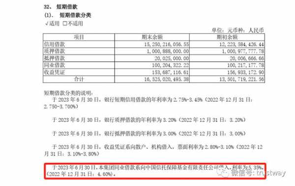 有限责任公司欠债 资本金 