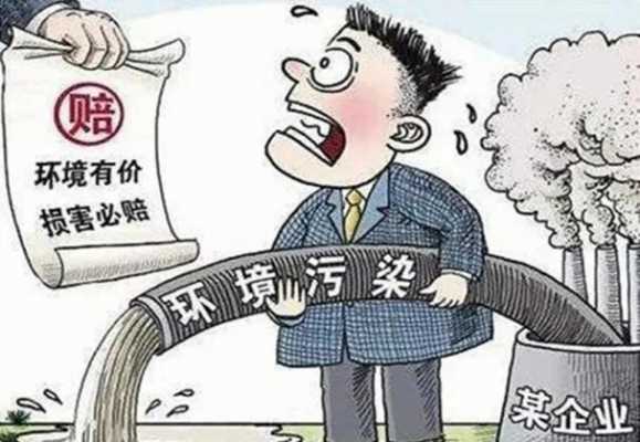 环境污染侵权责任的构成 